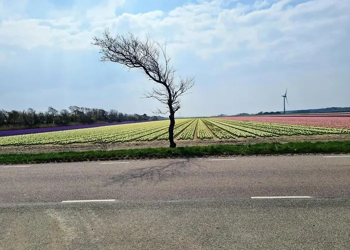 Sunshine Comfortable 펜션 신트 마르턴